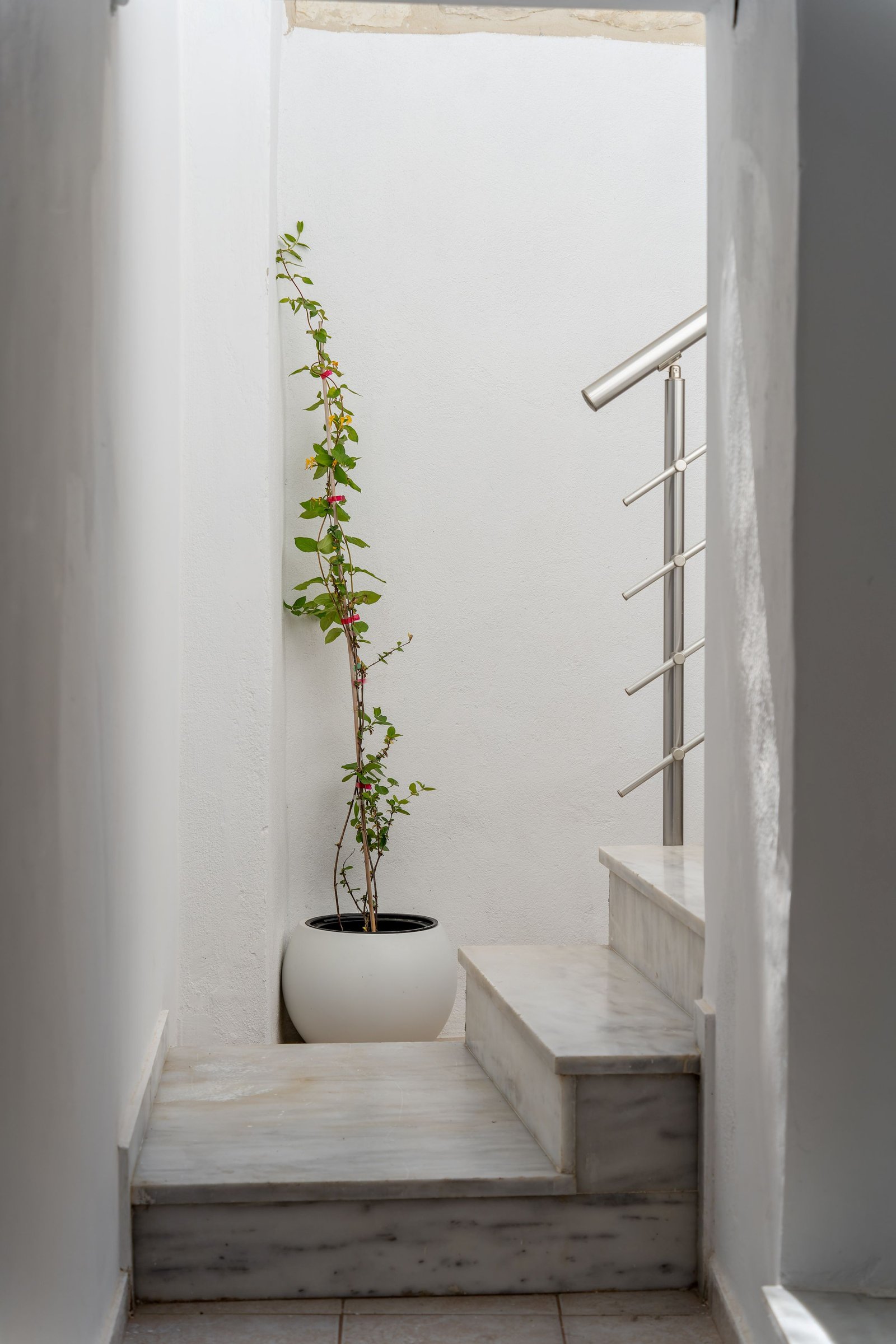 Outdoor Spaces - View 2